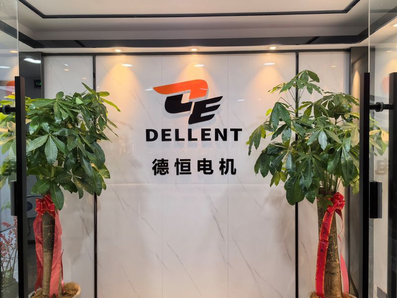 Китай Fuan Dellent Electric &amp; Machinery Co., Ltd. Профиль компании